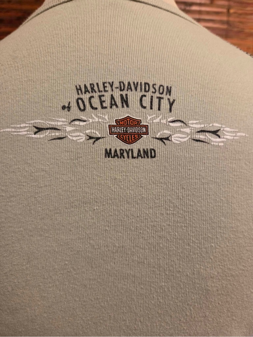 Harley-Davidson Green and Black Raglan Medallion Long Sleeve Tee - Picture 4 of 5